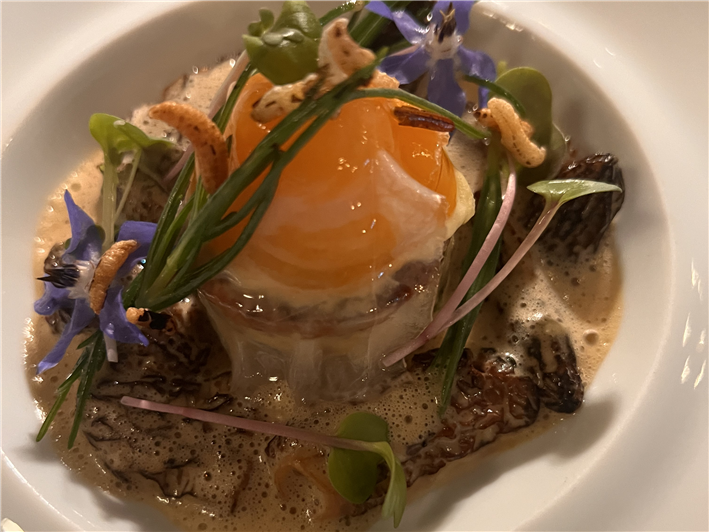 morel boudin